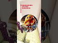 Угадай итальянское животное! У тебя всего пять секунд! #shorts