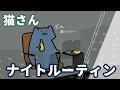 猫さんのナイトルーティン