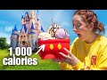 We ate the unhealthiest foods at disney magic kingdom