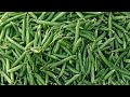 Khalilabad Market Live Video Live Streaming YouTube Live Viral Video Short Shortfeed 