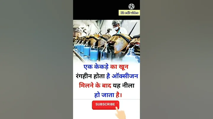 #upsc #bpsc #ssc #gk #ias #ips #gs #pcs #bank #ntpc  #upsc #upsi #upsssc #nda #gk #army #shorts