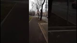 Москва,карантин,оставайтесь дома?