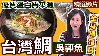 【健康好生活 超精彩回顧】台灣鯛全身寶 防癌 保養全顧到  ///  古早味鳳梨吳郭魚  芥末椒鹽炒魚塊  南薑鯛魚湯  香酥台灣鯛佐牛奶繽紛鮮蔬