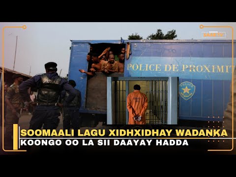 50 Qof Oo Soomaali Ah Ayaa Laga Sii Daayay Xabsiyada Dalka Koongo 