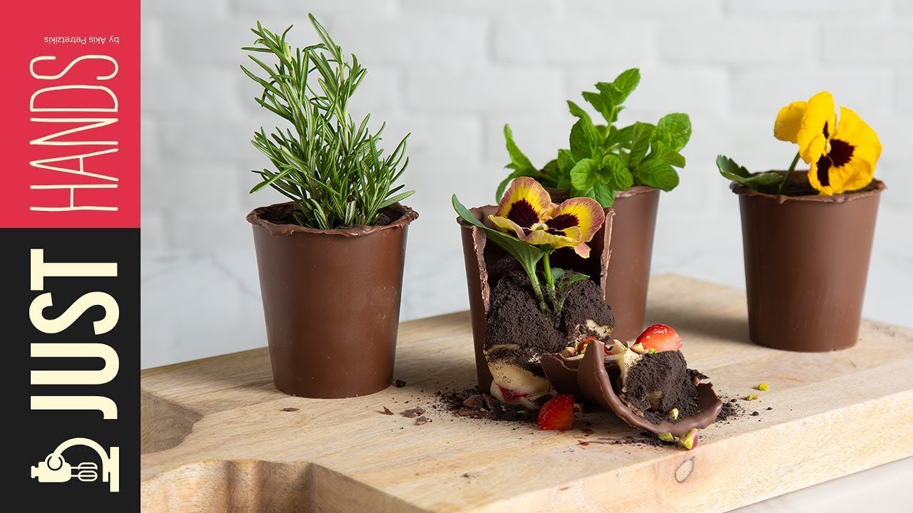 Chocolate flower pots Akis Petretzikis YouTube