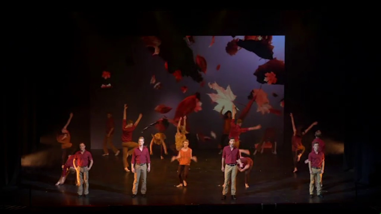 Bird College -Seasons |  Autumn Leaves