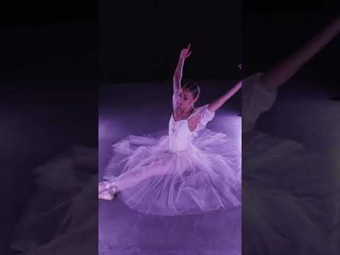 A Ballerina S Garden Of Violets