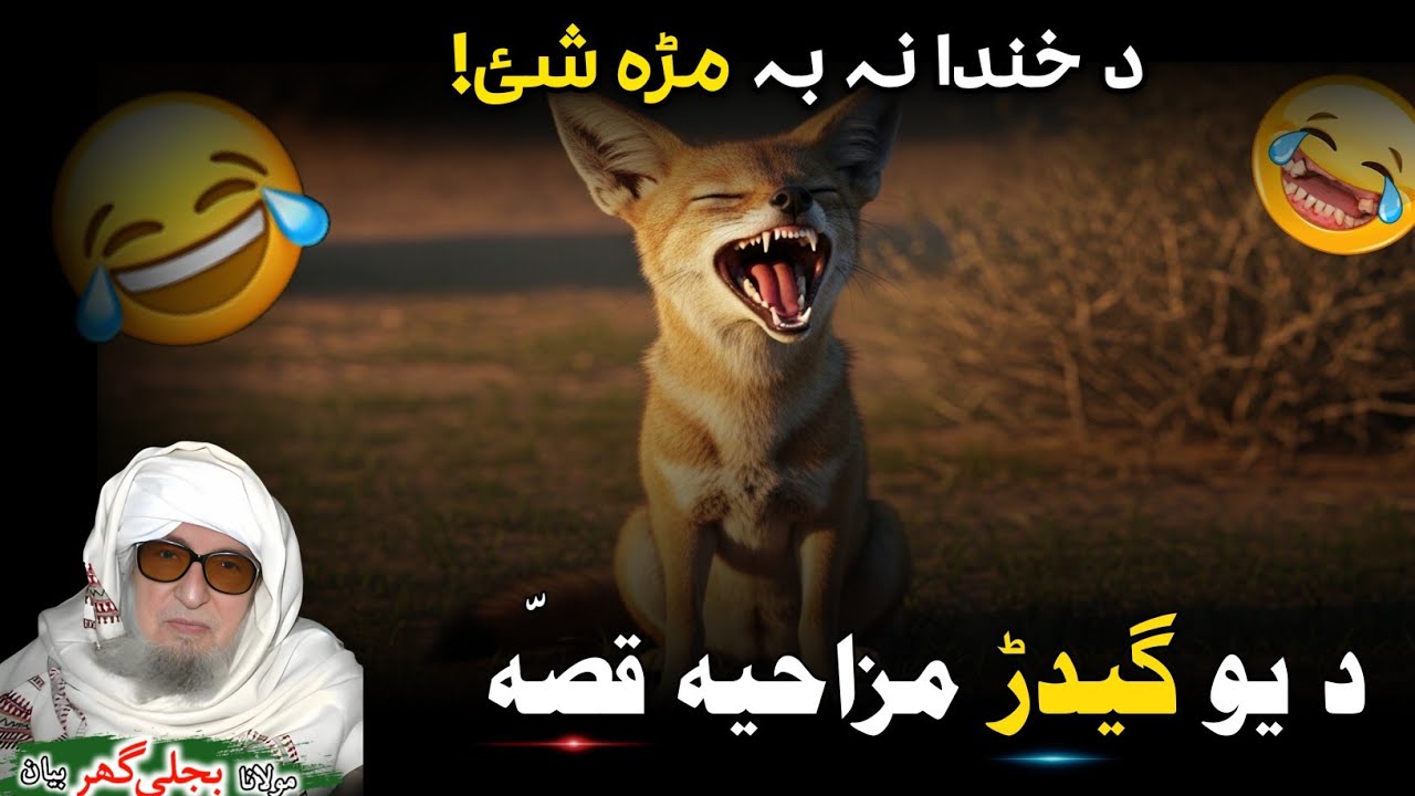 Yaw Gidarh Khanda Dak Bayan 😂 | Molana  Bijligar Saib |  مولانا بجلی گھر صیب | یو گیدڑ  مزاحیہ بیان