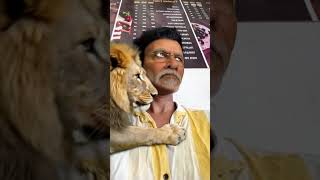 LION 🦁 #viral SHORT VIDEO 📸#@TOUSIF AHMAD DIGITAL CREATOR #funny #memes