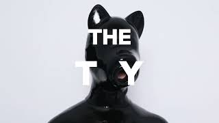 The T.o.y------From Smitizen,Hope You Like It
