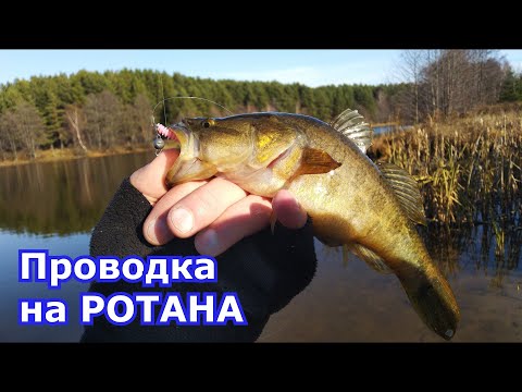 Ротаны на микроджиг