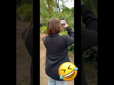 #nicocaponecomedy #comedy #funny #funnyvideo