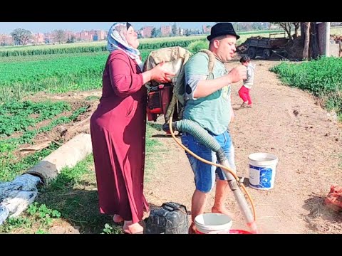 رحنا نرش البطاطس لقينا صاحب الموتور مش فاضي وبركات قال انا اللي هرش يا ترى هيعرف ولا لا يا رب استر