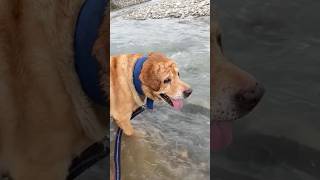 Leo River Me Chala Gya shorts minivlog  Anant Rastogi