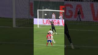 Šaunus, ramus, Correa