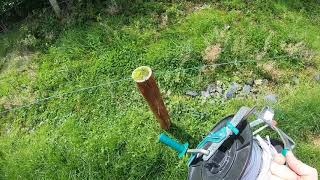 How to move an eletric fence ( STRIP GRAZING )