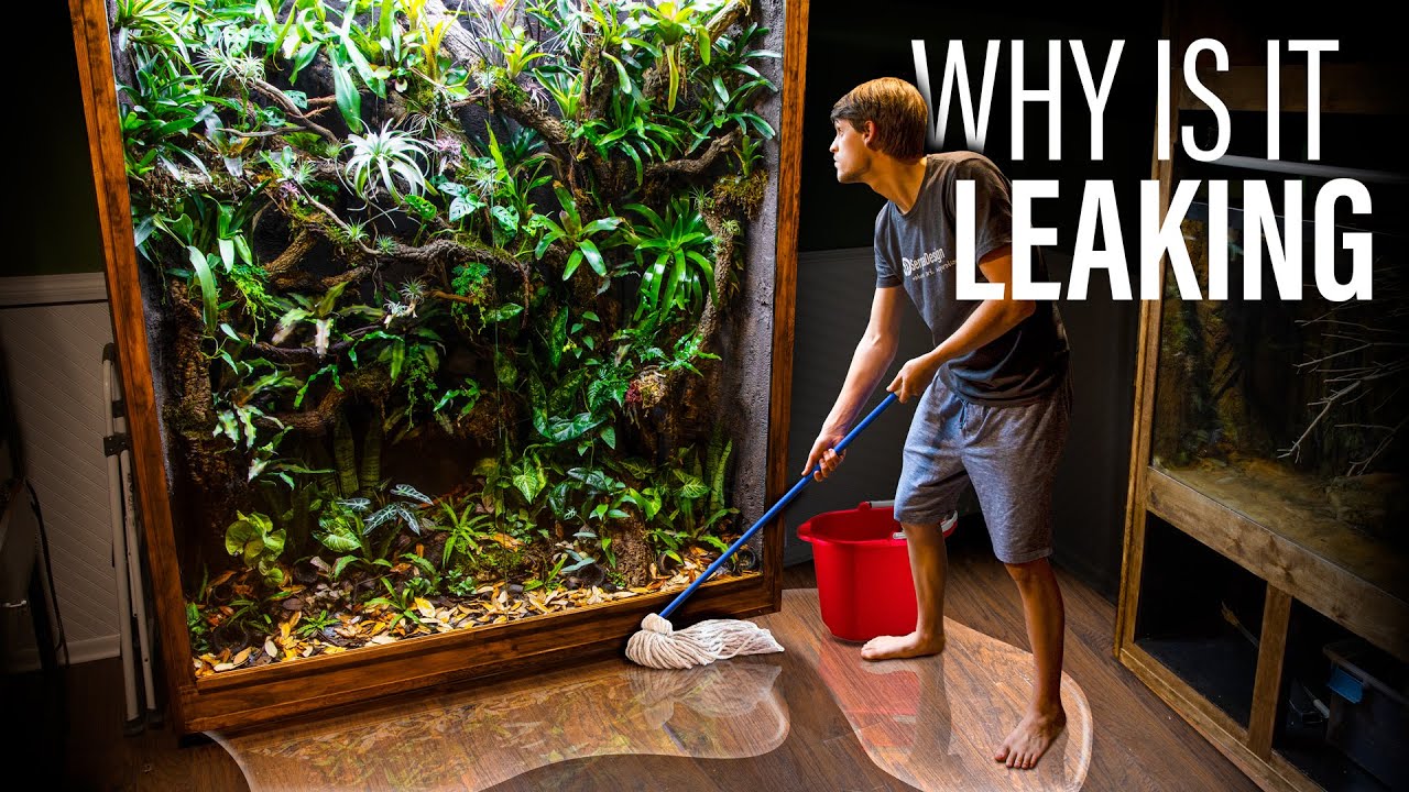 600 Gallon Jungle Vivarium is Leaking