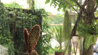 أستمع الى موسيقى الصباح -وأستمتع مع أجواء الصباح #morning #relax screenshot 3