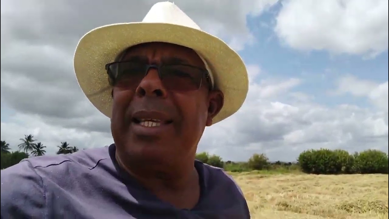 Chegou Segunda Feira e o trabalho não para, a colheita continua 🌾🌾🌾