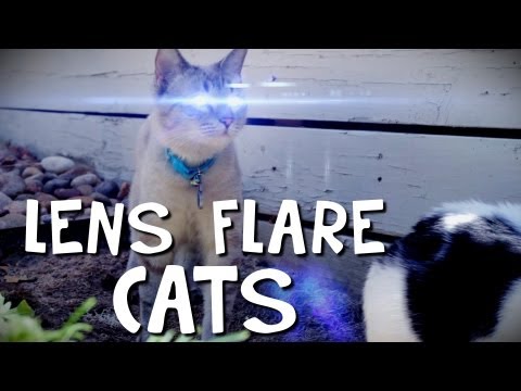 Needs Moar Lens Flare | Know Your Meme