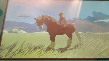 botw wild horse idle animation