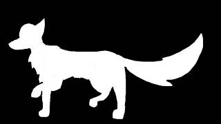 Wolf Silhouette Walking Animation Test