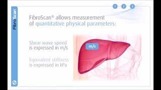 3 Stages of the FibroScan examination