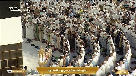 صلاة المغرب السبت 25-12-1446هـ الشيخ ماهر المعيقلي   -    أواخر سورة مريم ‏[77 - 98]