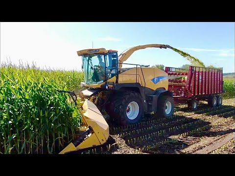 Como iniciar a agricultura sem terra ou equipamentos