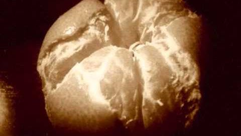 Subsist - World to Me