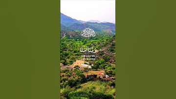 تلاوة خاشعة قرأن كريم بصوت يريح النفس #elmulquranعلم #قران_كريم #تلاوة #المصحف #trend #اكسبلور