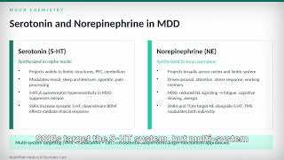 Module 2A  Recap