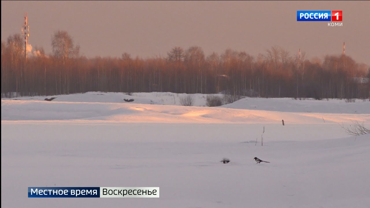 Погода соколово коми. Алтайский край село шубенка. Соколово алтайский край. Храм в честь иконы божией матери спорительница хлебов оптина пустынь. Погода соколово коми.