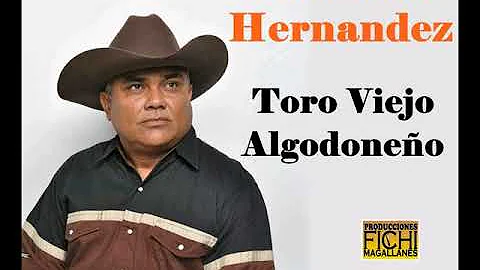 Hernandez Toro Photo 2