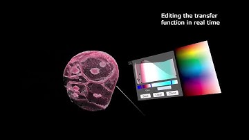 3D Visualization of Biological Data in Ultra High Definition Virtual video - Michael Nikiforakis