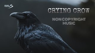 CROW CRYING SOUND | NO COPYRIGHT MUSICS | SOUND EFFECTS | SOUND CAPTURE