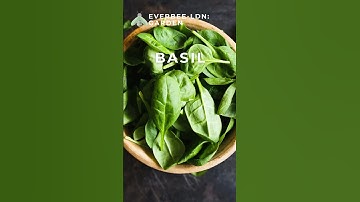 5 Companion Plants for BLUEBERRY PLANTS 🫐 | EVERBEE - Ldn: GARDEN