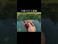 小粒だけどモンスターに効くルアー