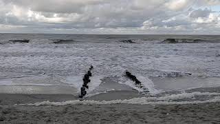 Domburg strand