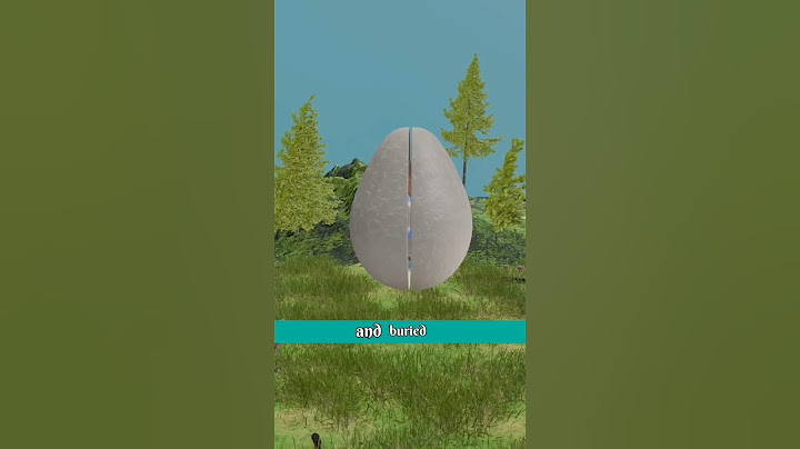 How Tree Pods Burial Works #shorts #3danimation