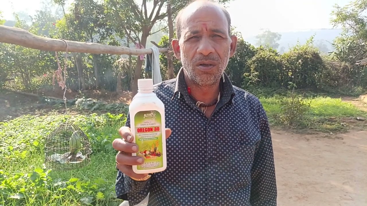 Altos   agriculture product Oregon 80 ka shandar result 