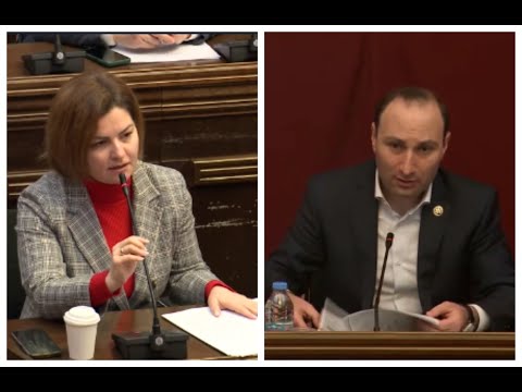 ხმაური კომიტეტის სხდომაზე, სადაც ანრი ოხანაშვილმა ანა ნაცვლიშვილს მიკროფონი გამოურთო