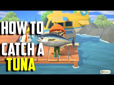 Vídeo: Animal Crossing Tuna: Como Pegar Atum E Encontrar O Cais Em New Horizons