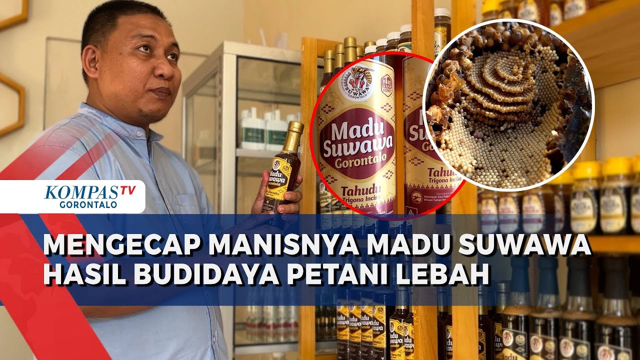 Kisah Pelaku UMKM Produk Madu Murni di Gorontalo Hingga Menembus Pasar Internasional
