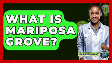 What Is Mariposa Grove? - Earth Science Answers