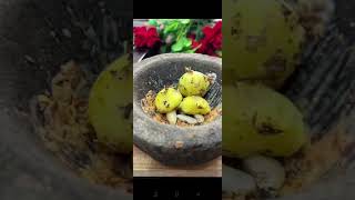 πππsuper alu curryππππ