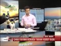 News anchor responds awesomely when a stray cat interrupts his live TV broadcast