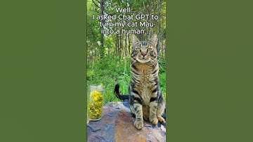 I asked ChatGPT to turn my cat into a human  😹😹😹