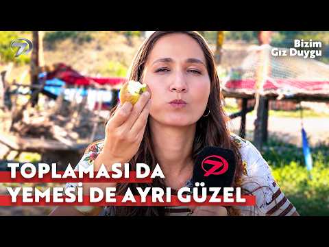 Can You Visit Amasya and Not Eat Its Apples? | Our Girl Duygu