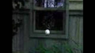 Art Zone - Cabin House